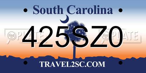 425SZ0 South Carolina License Plate