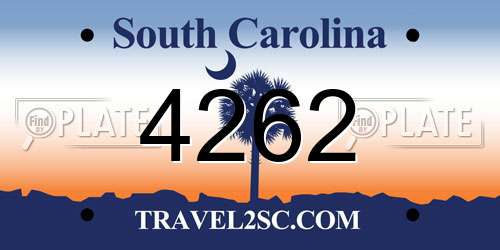 4262 South Carolina License Plate