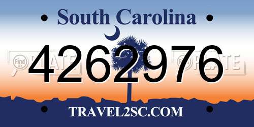 4262976 South Carolina License Plate
