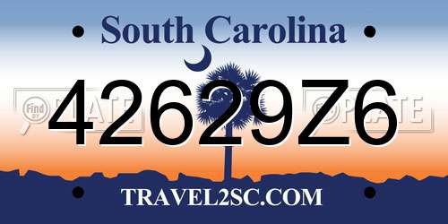 42629Z6 South Carolina License Plate
