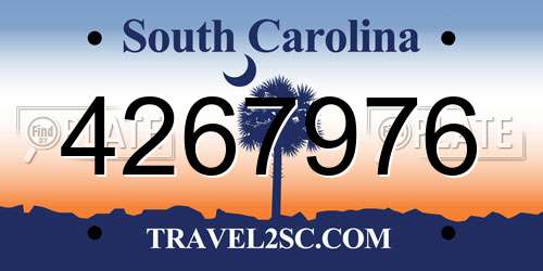 4267976 South Carolina License Plate