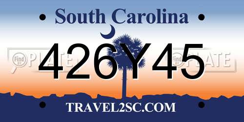 426Y45 South Carolina License Plate