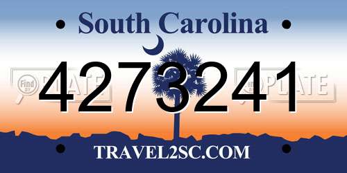 4273241 South Carolina License Plate