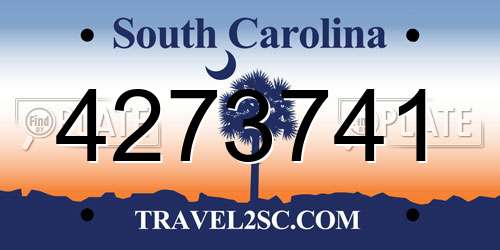 4273741 South Carolina License Plate