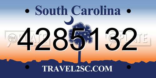 4285132 South Carolina License Plate