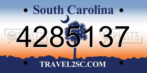 4285137 South Carolina License Plate