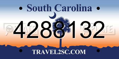 4288132 South Carolina License Plate
