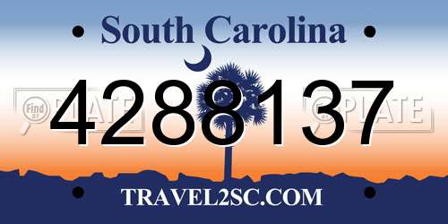 4288137 South Carolina License Plate