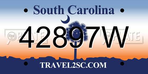 42897W South Carolina License Plate