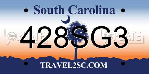 428SG3 South Carolina License Plate