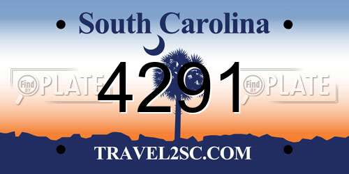 4291 South Carolina License Plate