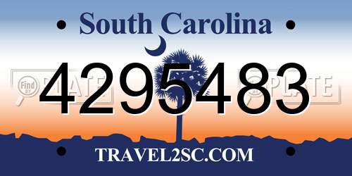 4295483 South Carolina License Plate