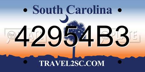 42954B3 South Carolina License Plate