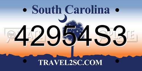 42954S3 South Carolina License Plate