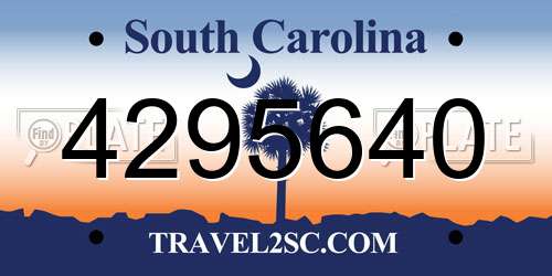4295640 South Carolina License Plate