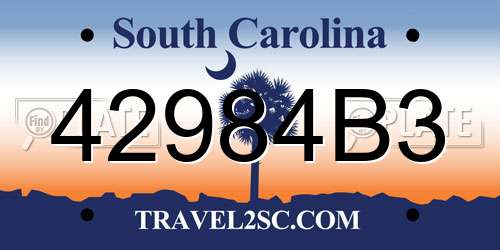 42984B3 South Carolina License Plate