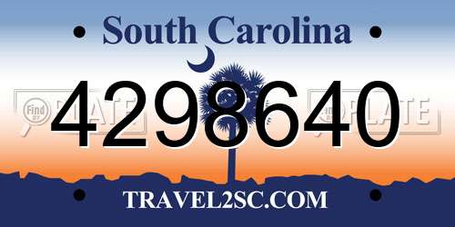 4298640 South Carolina License Plate