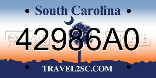 42986A0 South Carolina License Plate