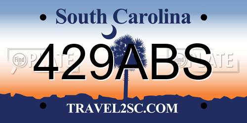 429ABS South Carolina License Plate