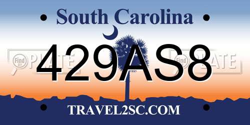 429AS8 South Carolina License Plate