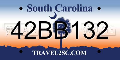 42BB132 South Carolina License Plate