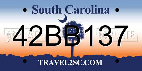 42BB137 South Carolina License Plate