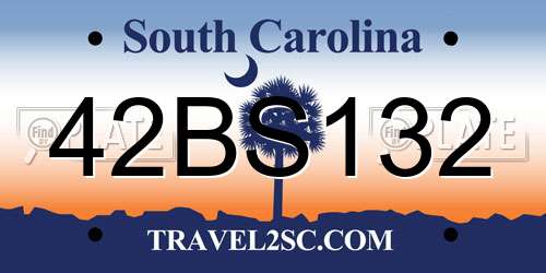42BS132 South Carolina License Plate