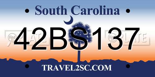 42BS137 South Carolina License Plate