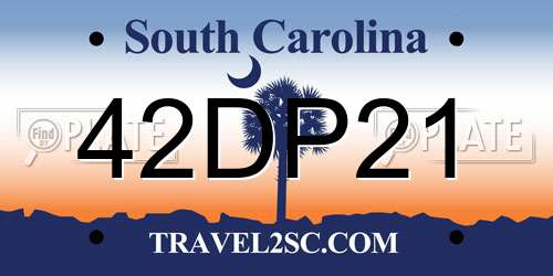 42DP21 South Carolina License Plate