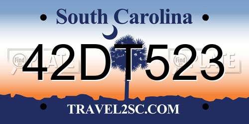 42DT523 South Carolina License Plate
