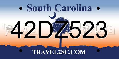 42DZ523 South Carolina License Plate