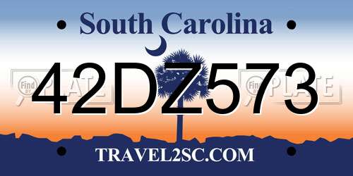 42DZ573 South Carolina License Plate