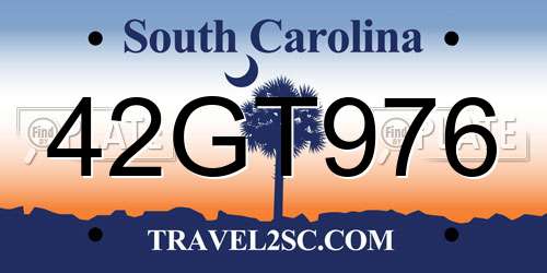 42GT976 South Carolina License Plate