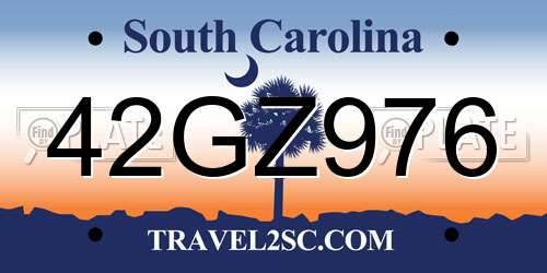 42GZ976 South Carolina License Plate