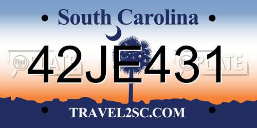42JE431 South Carolina License Plate