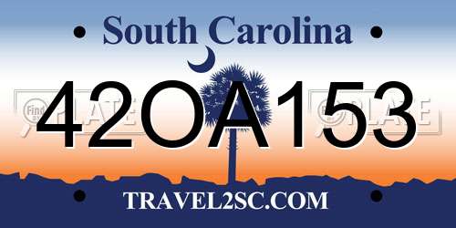 42OA153 South Carolina License Plate