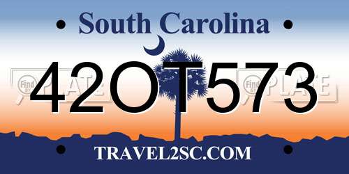 42OT573 South Carolina License Plate