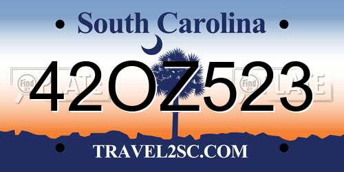42OZ523 South Carolina License Plate