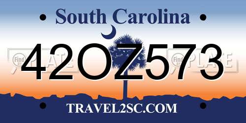42OZ573 South Carolina License Plate