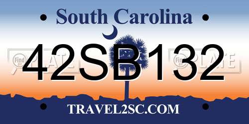 42SB132 South Carolina License Plate