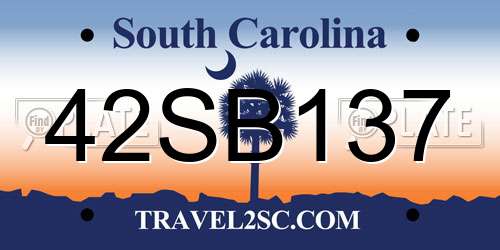 42SB137 South Carolina License Plate