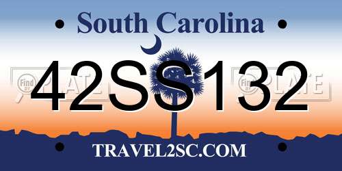 42SS132 South Carolina License Plate