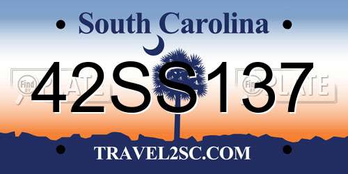 42SS137 South Carolina License Plate