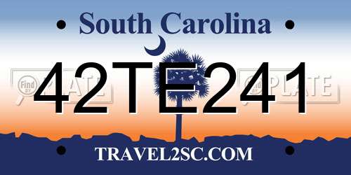 42TE241 South Carolina License Plate