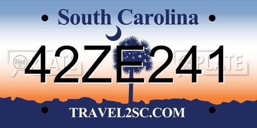 42ZE241 South Carolina License Plate