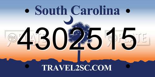 4302515 South Carolina License Plate