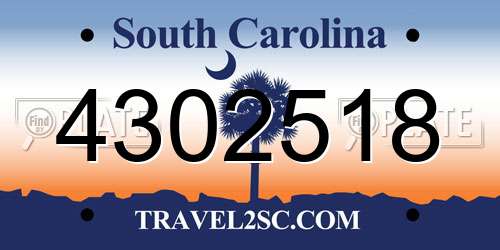 4302518 South Carolina License Plate