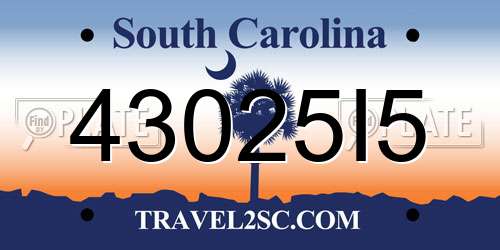 43025I5 South Carolina License Plate