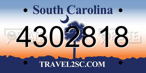 4302818 South Carolina License Plate