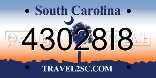 43028I8 South Carolina License Plate